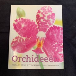 Orchideeën - small Dutch copy