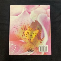 Orquídeas - small Spanish copy