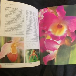 Orchidées - Le Guide Complet (French copy)