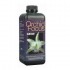 Orchid Focus 'Grow' 1L
