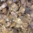 Orchid Potting Bark - Coarse Grade (60L)