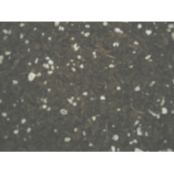 Seedling & Pleione Mix - 1L Bag