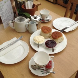 Café Vanilla Cream Tea For 2 - Gift Voucher